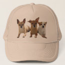 Search for chihuahua dogs baseball caps Chihuahuas