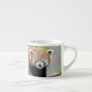 Search for cute red panda mugs Photography