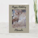 Search for cuddly cards Brown