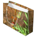 Search for artistic dragonfly crafts party Wildlife