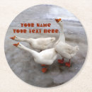 Search for beak barware Nature