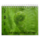 Search for fruit calendars Nature