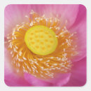 Search for joanne stickers Blossom