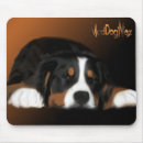 Search for bernese mountain dog mouse mats Dogs