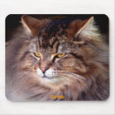 Search for maine coon cat mouse mats Pets
