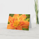 Search for brighten day cards Sunshine