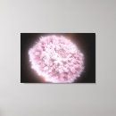 Search for cosmology canvas prints Stars
