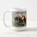 Search for palomino mugs Animals
