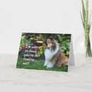Search for sheltie cards Shelty