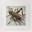 Search for cricket puzzles Animals