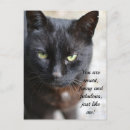 Search for black cat with your quotes postcards Feline