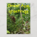 Search for ap postcards Rainforest