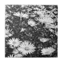 Search for black and white photo tiles Floral
