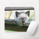Search for siamese mouse mats Pet