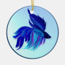 Search for betta fish christmas tree decorations Fighting