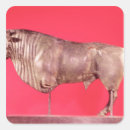 Search for bull horns stickers Animal