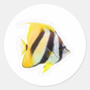 Search for underwater world stickers Coral reef