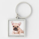 Search for white bulldog key rings Domestic animals