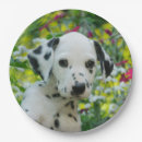 Search for dalmatian paper plates Birthday