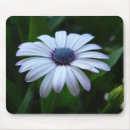 Search for shasta mouse mats Floral