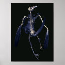 Search for gothic skulls posters Crow