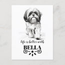 Search for shih postcards Shih tzu dog