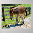 Search for mixed breeds posters Cute