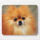 Search for pomeranian mouse mats Pets