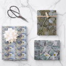 Search for coin wrapping paper Money