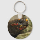 Search for foot key rings Tortoise