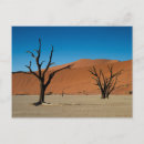 Search for tree postcards Desert