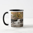 Search for virginia state mugs North america