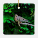 Search for mourning doves christmas tree decorations Wildlife