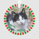 Search for tuxedo cat gifts Animal