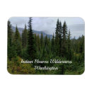 Search for indians magnets Washington