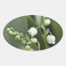 Search for lily oval stickers Floral