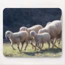 Search for sheep mouse mats flock
