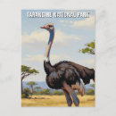 Search for tarangire Nature