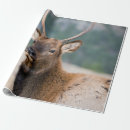 Search for elk wrapping paper Bull
