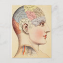 Search for phrenology postcards Head