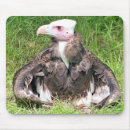 Search for vultures mouse mats Birds