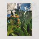 Search for prickly postcards Green
