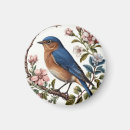 Search for bluebird magnets Wildlife