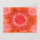 Search for microbiology gifts Biomedical illustrations