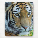 Search for siberian cat mouse mats Animal