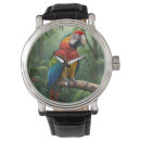 Search for macaw accessories Colourful