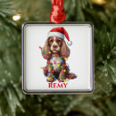 Search for american christmas tree decorations Dog