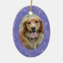 Search for pet memorial christmas tree decorations Zpet
