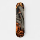 Search for curl comp skateboards Black
