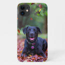 Search for cute labrador retriever iphone cases Animal